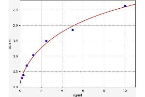 tyrosine Kinase with Immunoglobulin-Like and EGF-Like Domains 1 (TIE1) ELISA Kit