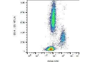 Flow cytometry analysis (surface staining) of human peripheral blood cells with anti-CD86 (BU63) APC. (CD86 antibody  (APC))