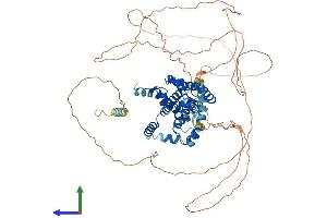 AlphaFold protein structure predicition of Human Recombinant SAMD4A Protein, UniprotID Q9UPU9