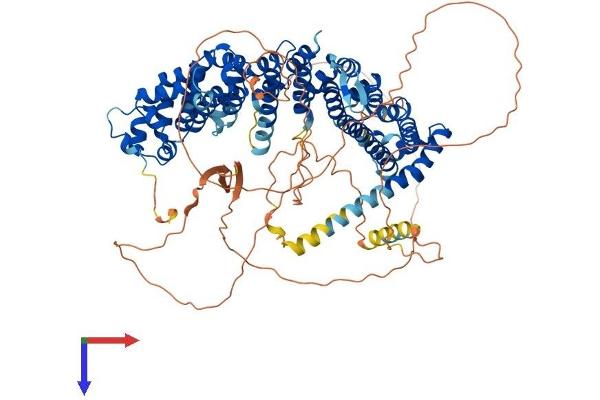 PPP6R3 Protein (AA 1-844) (His tag)