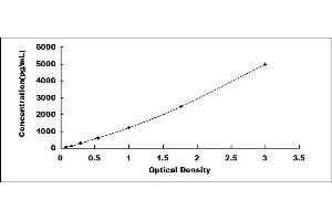 Typical standard curve (DPYSL2 ELISA Kit)