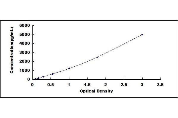 DPYSL2 ELISA Kit