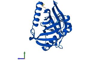AlphaFold protein structure predicition of Human Recombinant STARD4 Protein, UniprotID Q96DR4