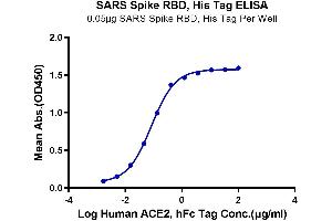 Immobilized SARS Spike RBD at 0. (SARS-CoV Spike Protein (RBD) (His-Avi Tag))