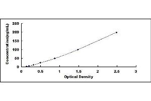 Typical standard curve (IDH1 ELISA Kit)