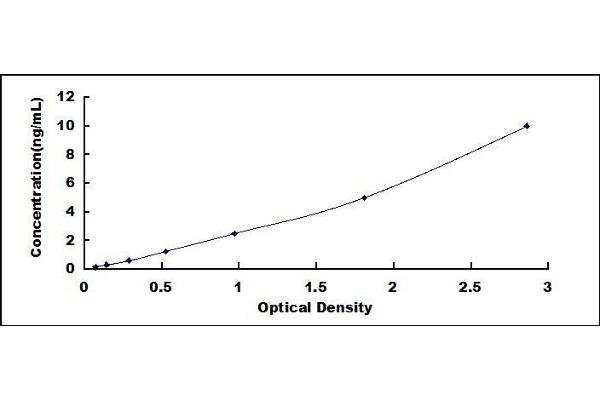 INSL5 ELISA Kit