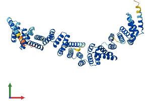 AlphaFold protein structure predicition of Mouse Recombinant Ttc34 Protein, UniprotID Q8C0Q3 (TTC34 Protein (AA 1-554) (His tag))