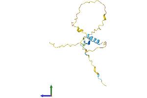 AlphaFold protein structure predicition of Human Recombinant CDC42EP5 Protein, UniprotID Q6NZY7 (CDC42EP5 Protein (AA 1-148) (His tag))