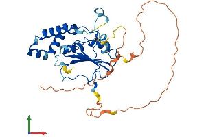 AlphaFold protein structure predicition of Mouse Recombinant Mettl8 Protein, UniprotID A2AUU0 (METTL8 Protein (AA 1-281) (His tag))
