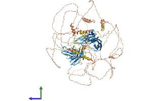 Protein Structure (PS) image for Myopalladin (MYPN) (AA 1-1320) protein (His tag) (ABIN7554663)