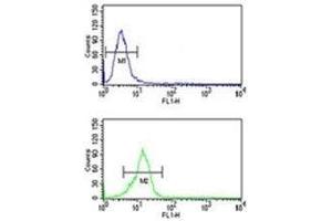 Olig3 antibody flow cytometric analysis of U251 cells (bottom histogram) compared to a negative control (top histogram). (OLIG3 antibody  (AA 74-100))