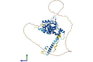 AlphaFold protein structure predicition of Human Recombinant MCRS1 Protein, UniprotID Q96EZ8