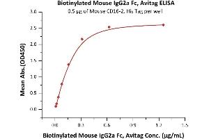 Immobilized Mouse CD16-2, His Tag (ABIN6731239,ABIN6809892,ABIN6951007) at 5 μg/mL (100 μL/well) can bind Biotinylated Mouse IgG2a Fc, Avitag (ABIN2870572,ABIN2870573) with a linear range of 0.