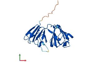 Protein Structure (PS) image for Crystallin, beta A1 (CRYBA1) (AA 1-198) protein (His tag) (ABIN7562724)