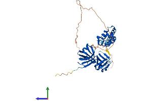 AlphaFold protein structure predicition of Human Recombinant MNDA Protein, UniprotID P41218 (MNDA Protein (AA 1-407) (His tag))