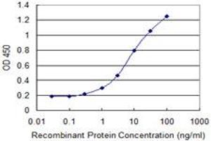 Detection limit for recombinant GST tagged CYLD is 0. (CYLD antibody  (AA 854-953))