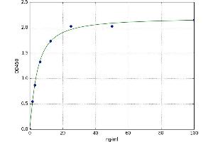 A typical standard curve (BMX ELISA Kit)