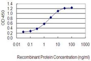 Detection limit for recombinant GST tagged CASP4 is 0. (Caspase 4 antibody  (AA 1-377))