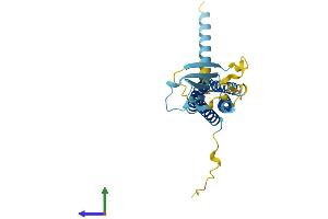 AlphaFold protein structure predicition of Mouse Recombinant Cacng6 Protein, UniprotID Q8VHW3 (CACNG6 Protein (AA 1-260) (His tag))