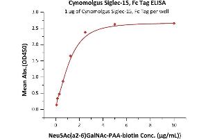Immobilized Cynomolgus Siglec-15, Fc Tag (ABIN6923189,ABIN6938874) at 10 μg/mL (100 μL/well) on Diamond Protein A Protein, His Tag precoated (0.