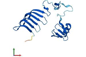 AlphaFold protein structure predicition of Human Recombinant MORN5 Protein, UniprotID Q5VZ52 (MORN5 Protein (AA 1-161) (His tag))