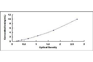 Typical standard curve (OAS3 ELISA Kit)
