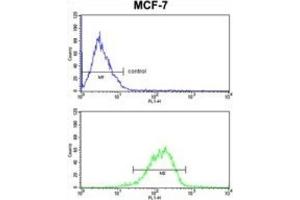 Flow Cytometry (FACS) image for anti-RNA Binding Motif Protein 3 (RBM3) antibody (ABIN3003187) (RBM3 antibody)