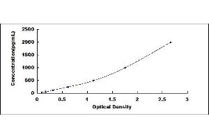 Typical standard curve (CCL17 ELISA Kit)