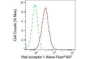 anti-Rab Acceptor 1 (Prenylated) (RABAC1) antibody