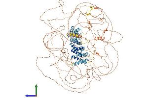 AlphaFold protein structure predicition of Mouse Recombinant Gprasp1 Protein, UniprotID Q5U4C1