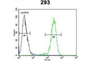 Flow cytometric analysis of 293 cells using Alpha-Mannosidase 2 / MAN2A1 Antibody (Center) Cat. (alpha-Mannosidase II antibody  (Middle Region))