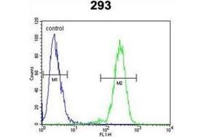 Flow cytometric analysis of 293 cells using Alpha-Mannosidase 2 / MAN2A1 Antibody (Center) Cat. (alpha-Mannosidase II antibody  (Middle Region))