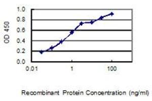 Detection limit for recombinant GST tagged SCGB2A1 is 0. (SCGB2A1 antibody  (AA 1-95))