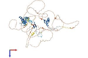 DBF4 Protein (AA 1-663) (His tag)