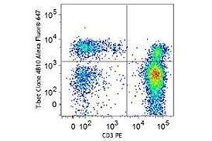 Flow Cytometry (FACS) image for anti-T-Bet antibody (Alexa Fluor 647) (ABIN2664023) (T-Bet antibody  (Alexa Fluor 647))