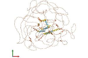 AlphaFold protein structure predicition of Human Recombinant SPATA31A6 Protein, UniprotID Q5VVP1 (FAM75A6 Protein (AA 1-1343) (His tag))