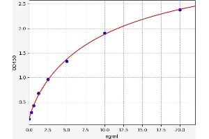 Sparc/osteonectin, Cwcv and Kazal-Like Domains Proteoglycan (Testican) 2 (SPOCK2) ELISA Kit