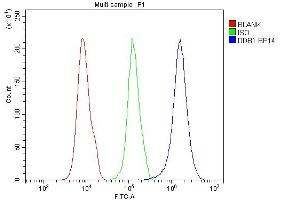 Flow Cytometry analysis of 293T cells using anti-DDB1 antibody (ABIN3043823). (DDB1 antibody  (AA 1011-1140))