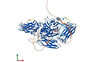 AlphaFold protein structure predicition of Human Recombinant TGM1 Protein, UniprotID P22735