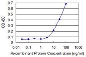 ZNF587 antibody  (AA 1-122)