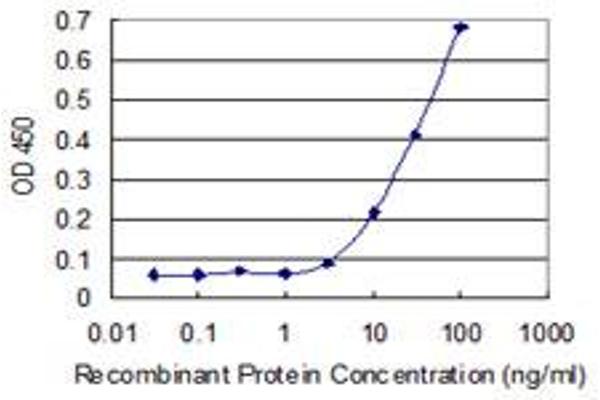 ZNF587 antibody  (AA 1-122)