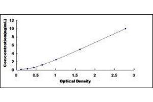 ELISA image for Cytochrome P450, Family 26, Subfamily A, Polypeptide 1 (CYP26A1) ELISA Kit (ABIN419217)
