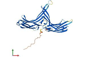 AlphaFold protein structure predicition of Mouse Recombinant Arrdc5 Protein, UniprotID Q497K5