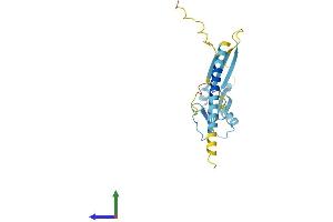 Protein Structure (PS) image for Cell Death-Inducing DFFA-Like Effector B (CIDEB) (AA 1-219) protein (His tag) (ABIN7546515)