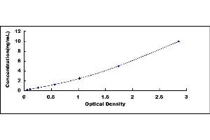 Toll-Like Receptor 9 (TLR9) ELISA Kit