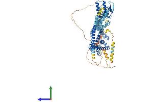 AlphaFold protein structure predicition of Mouse Recombinant Cnga2 Protein, UniprotID Q62398