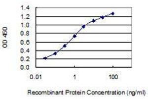 Detection limit for recombinant GST tagged NPFF is 0. (Neuropeptide FF antibody  (AA 1-116))