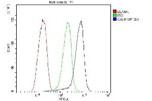 Flow Cytometry analysis of HepG2 cells using anti-CALR antibody (ABIN7600329).