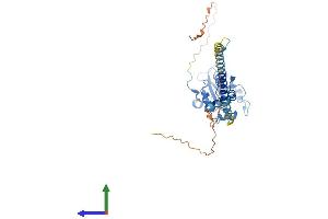 AlphaFold protein structure predicition of Mouse Recombinant Pcyt1a Protein, UniprotID P49586 (PCYT1A Protein (AA 1-367) (His tag))