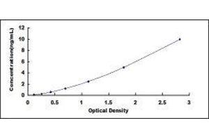 Suppressor of Cytokine Signaling 3 (SOCS3) ELISA Kit